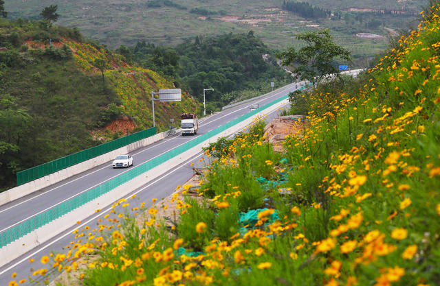 美丽公路  行驶  交通  