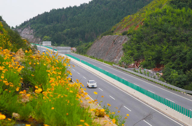 美丽公路  行驶  交通  
