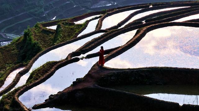 紫鹊界 梯田 紫鹊界梯田 镜面效果 水满田畴 晨光 乡村 美丽乡村 家乡的风景