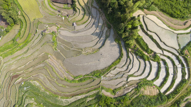 娄底 梯田 紫鹊界
