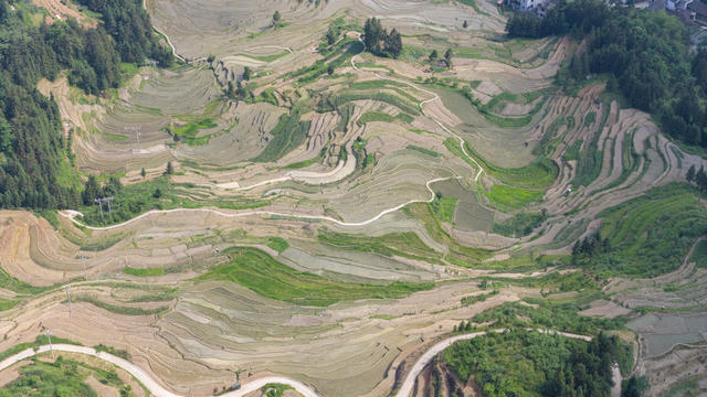 娄底 梯田 紫鹊界