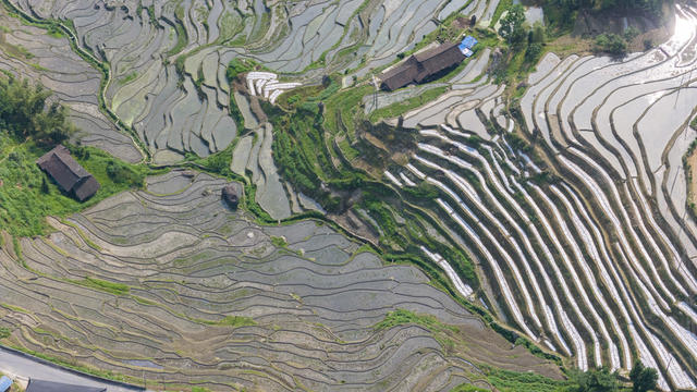 娄底 梯田 紫鹊界