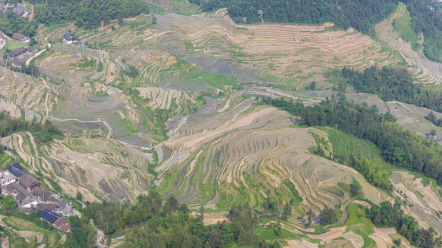 娄底 梯田 紫鹊界