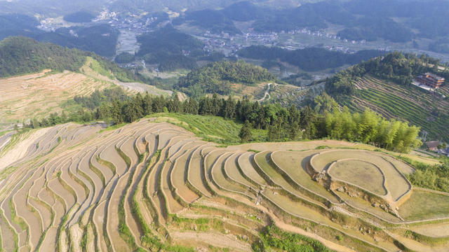 娄底 梯田 紫鹊界