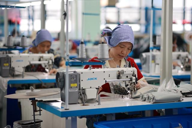 经济、企业生产、箱包、工业、外贸