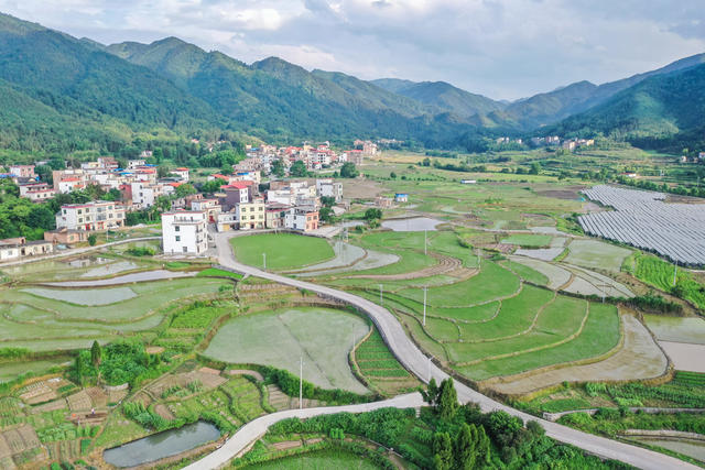 乡村 田园 生态 产业 夏日 农村