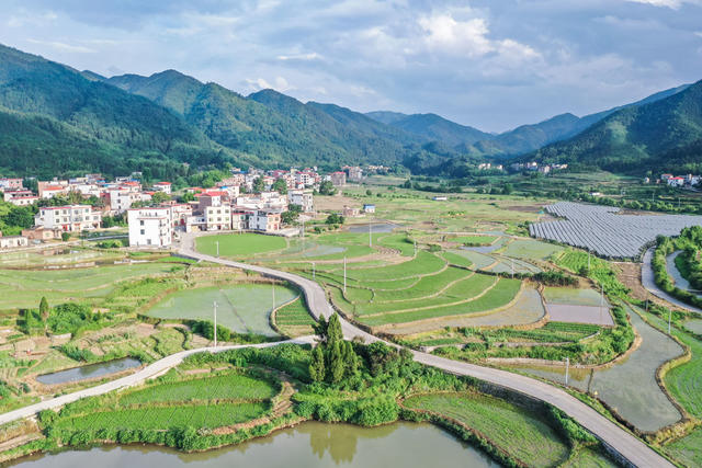 乡村 田园 生态 产业 夏日 农村