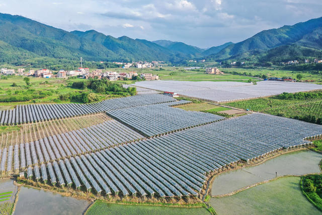 乡村 田园 生态 产业 夏日 农村