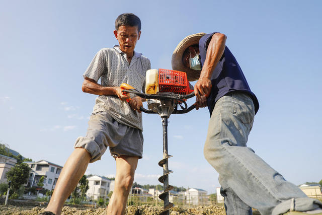 湖南 新田 搭竹架 种果蔬 三夏 时节