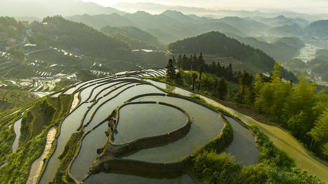 娄底 紫鹊界 梯田