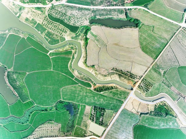 高标准农田建设  丘岗地区  稻田  改造提升  绿色水彩