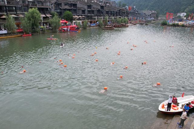 古城 山水 凤凰 人文 选手 游泳 运动 组别 公开赛 水域 沱江