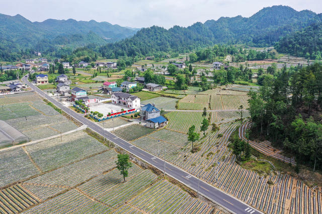 湖南，湘西，龙山，产业，乡村，美丽，建设