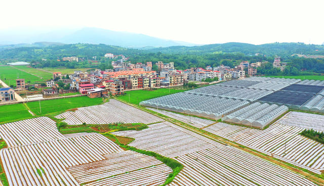 嘉禾：产业兴  乡村美