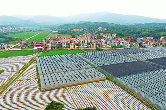 嘉禾：产业兴  乡村美