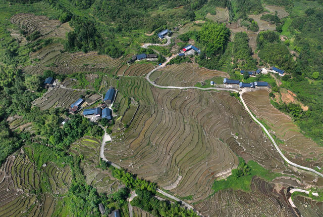层层梯田 生机盎然