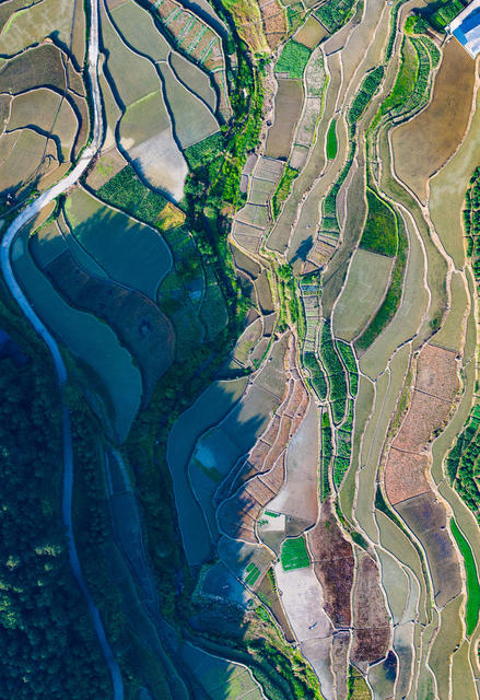 农村  梯田  插秧  怀化  中方