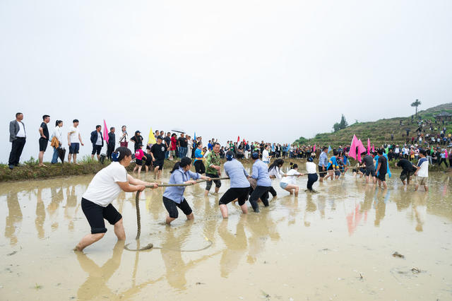 2024年春耕，溆浦山背梯田，旅游