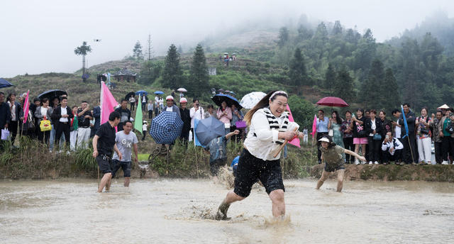 2024年春耕，溆浦山背梯田，旅游