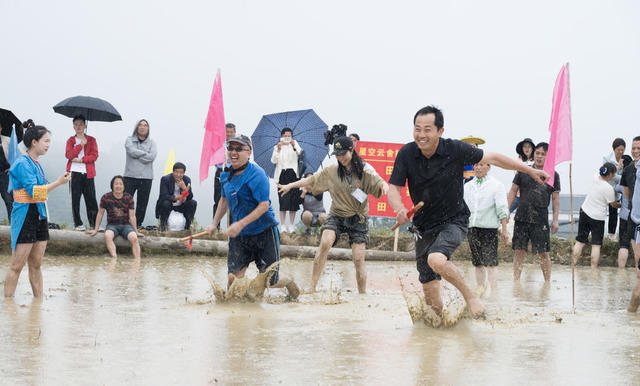 2024年春耕，溆浦山背梯田，旅游