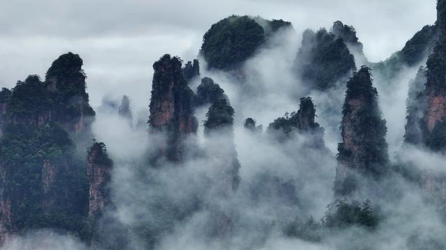 旅游 云海 张家界 武陵源