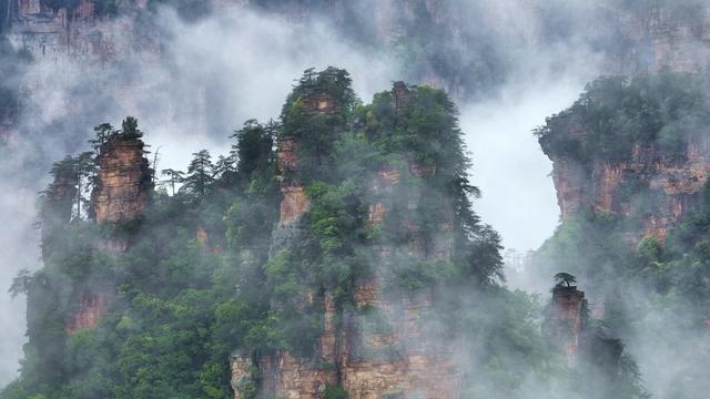 旅游 云海 张家界 武陵源