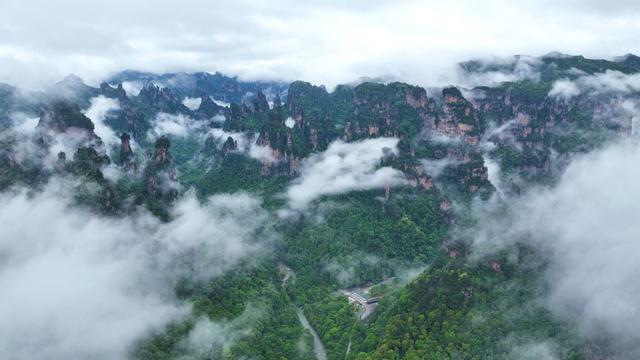旅游 云海 张家界 武陵源