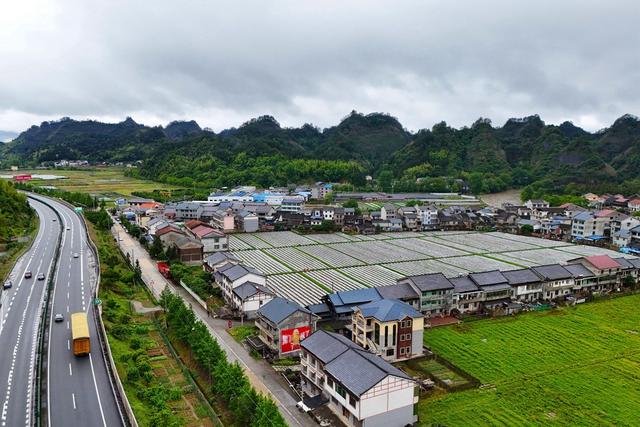 乡村、人居环境、农村、和美乡村、田园