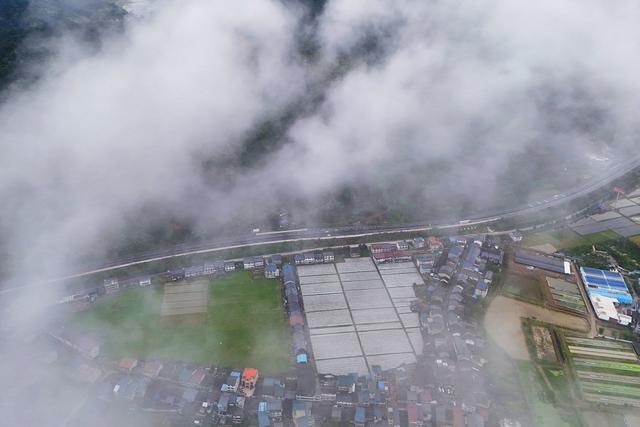 乡村、人居环境、农村、和美乡村、田园