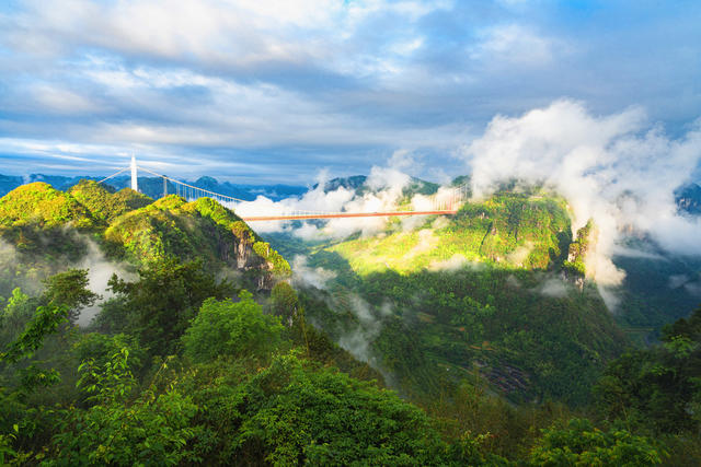 立夏  清晨阳光照耀，峡谷最绿，云飞雾荡，矮寨大桥如在画中