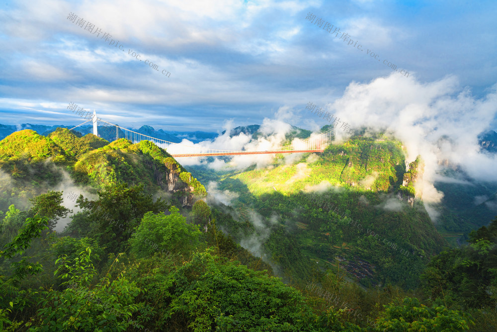 立夏  清晨阳光照耀，峡谷最绿，云飞雾荡，矮寨大桥如在画中