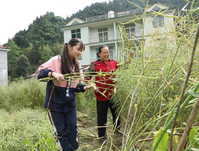   多彩假期        劳动光荣
