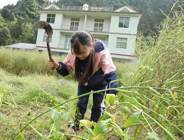   多彩假期        劳动光荣
