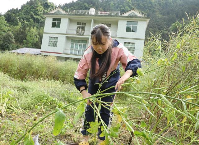   多彩假期        劳动光荣
