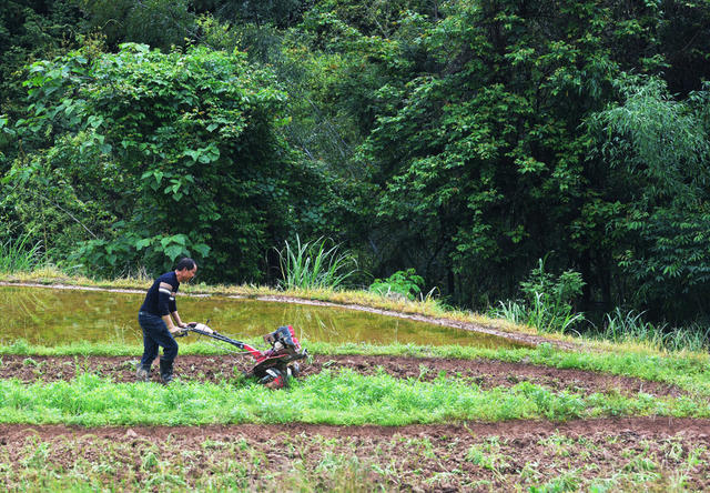 嘉禾：立夏农忙