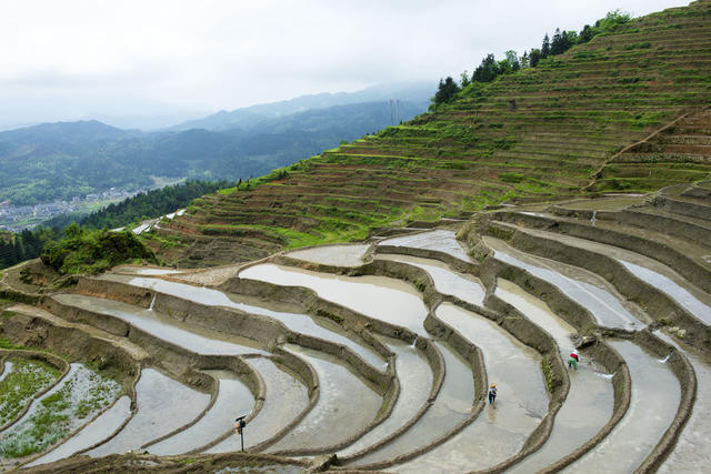 农业  梯田  水田灌溉