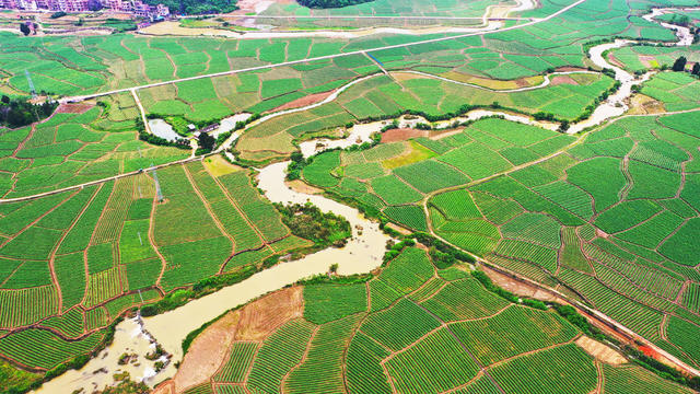 生态  田园  舂陵河  风景
