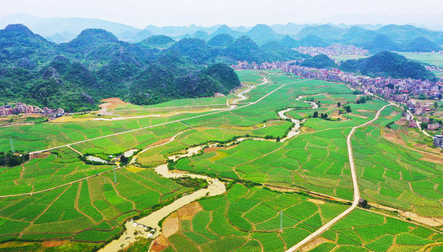 生态  田园  舂陵河  风景