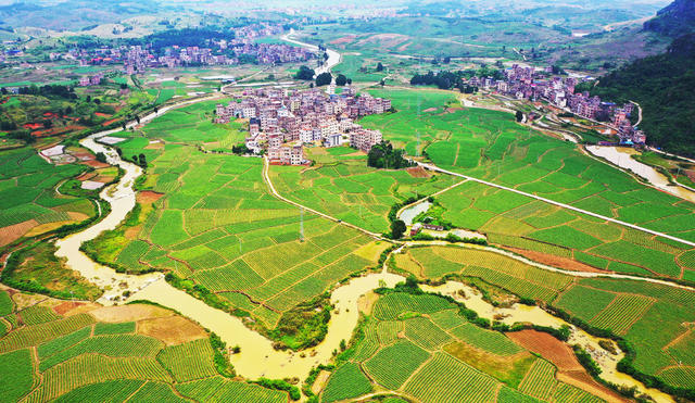 生态  田园  舂陵河  风景