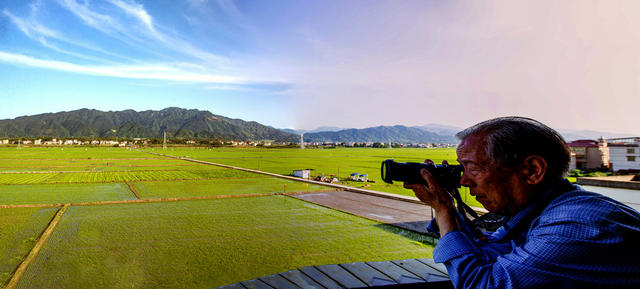 立夏   田园 画卷 