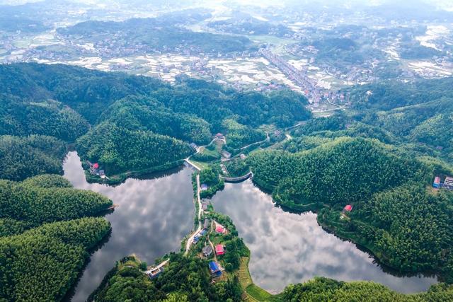 千金  水库  生态环境  良田  田园  画卷  抗旱  灌溉