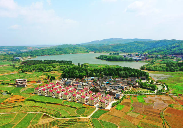 嘉禾：生态乡村入画来