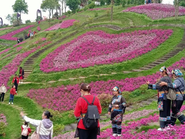 花不醉人，人自醉，高耸入云的太平山