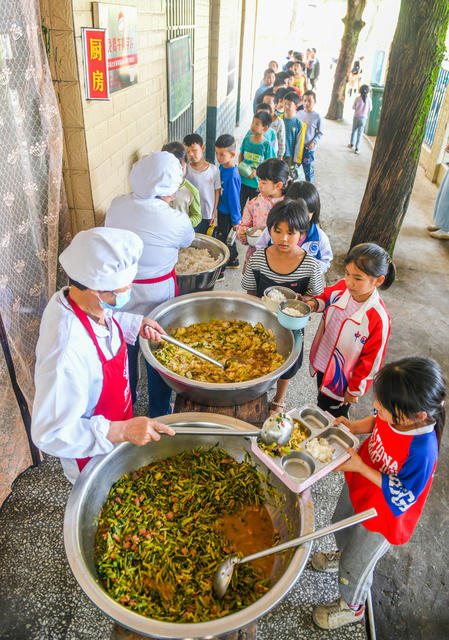 免费午餐
道县
学生
