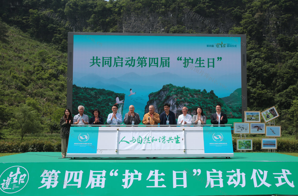 湖南娄底：“护生日”物种多样性 生态新篇章 湄江国家地质公园