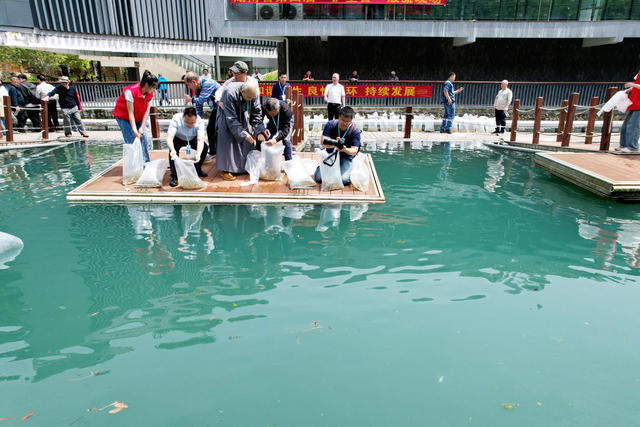 湖南娄底：“护生日”物种多样性 生态新篇章 湄江国家地质公园