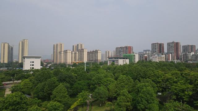 生态 幸福
