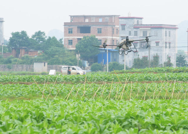 嘉禾：飞防作业