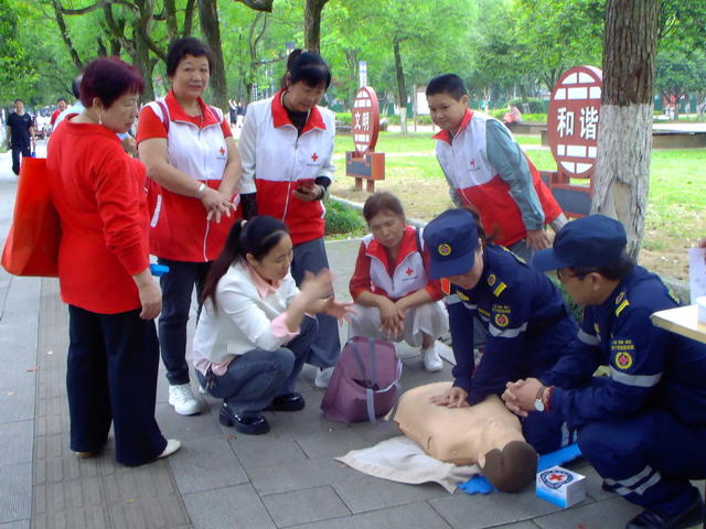 投稿