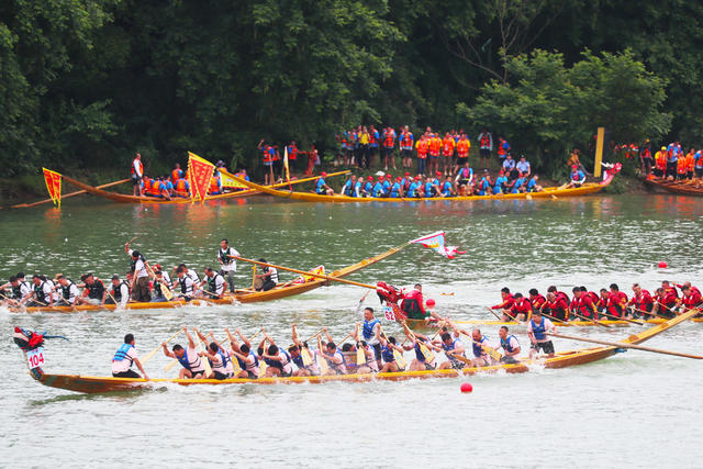 龙舟  大赛  运动  端午